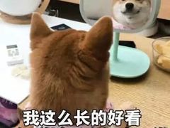 -元氏钵仔糕(北京路店)