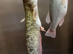 -宫七SPA·高端Massage(浦东大道店)