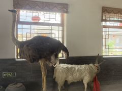 -河北村民俗体验园