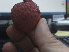 -鹏城八珍深圳特产手信(罗湖店)