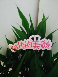 -美肤盾祛痘·问题肌头疗管理中心