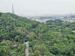 -美的鹭湖森林度假区