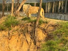 -石家庄市动物园