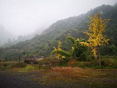 -娄山关景区