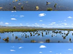 -花湖生态旅游区