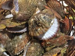 -蚝堡海鲜·威海菜·海肠捞饭·烧烤·亚洲吃蚝公司(幸福门店)