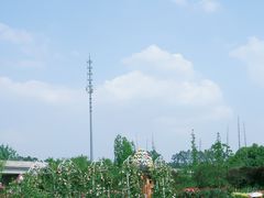 -秀丽东方