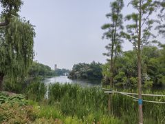 -新江湾城公园