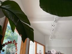 -COTTON CAFE(德信·中外公寓店)