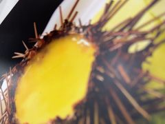 -威海渔村(黄兴路店)