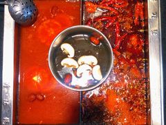 番茄鸳鸯锅-蜀江龙火锅(339店)
