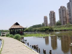 -前关湿地公园