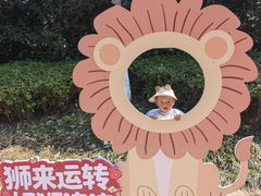 -合肥野生动物园