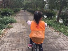 -荔枝红五号农庄