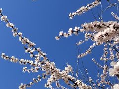 -太阳宫公园