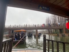 -溱湖国家湿地公园