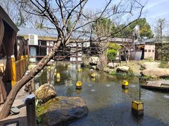 -湘力力小院·鱼汤泡饭(枫林路店)