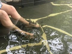 -昆明柏联SPA温泉