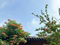 -渭南桃花源民俗文化园