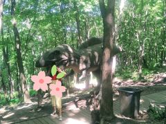-帽儿山风景区