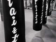 -TFC 纯泰拳馆MuayThai