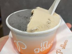 黑芝麻生姜-Dip in Gelato(富民路店)