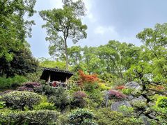 -南山植物园