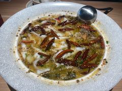 -新太二·鲜料川菜(花都融创茂店)