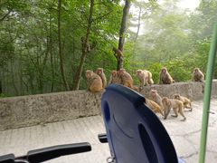 -九皇山景区
