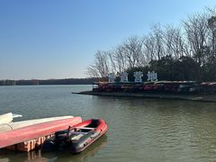 -上海海湾国家森林公园