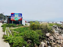 -北岐滩涂