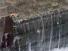 -广东温泉宾馆