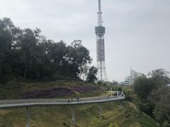 -广州雕塑公园