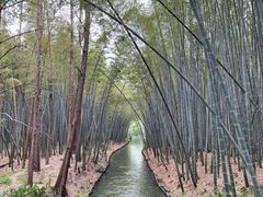 -同里国家湿地公园