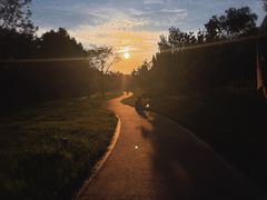 -白鹭湾湿地公园