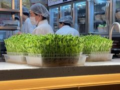 -好彩猪肚鸡(正弘城店)