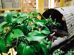 -猫的天空之城概念书店(杭州南宋御街店)