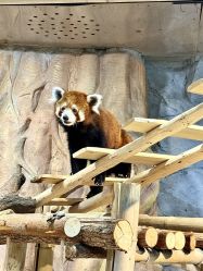 -Zoolung Zoolung动物主题公园(海信广场店)