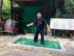 -海南槟榔谷黎苗文化旅游区