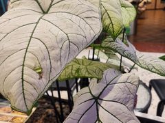 -南拳十三姨·潮汕砂锅粥·粤菜(西单大悦城店)