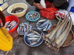 -南沙十九涌渔人码头-南门