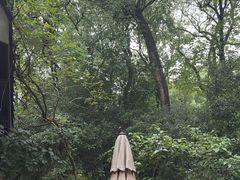 -一江春水·杭帮臻宴(三台山店)