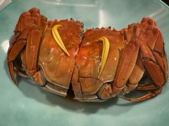 -新荣记(BFC外滩金融中心店)