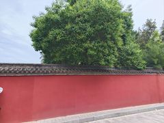 -西安市广仁寺