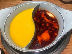 -青瓷火锅料理(西单大悦城店)
