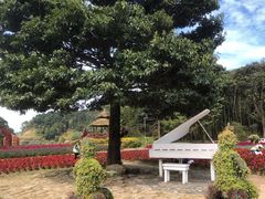 -广州市石门国家森林公园