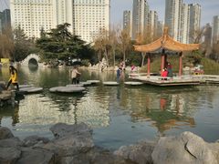 景点-西苑公园