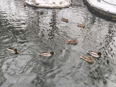 -水磨沟公园