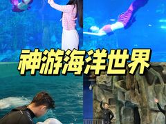 -威海华夏城景区