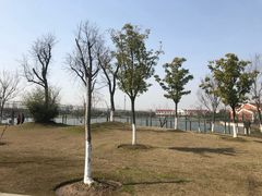 -上海长兴岛郊野公园